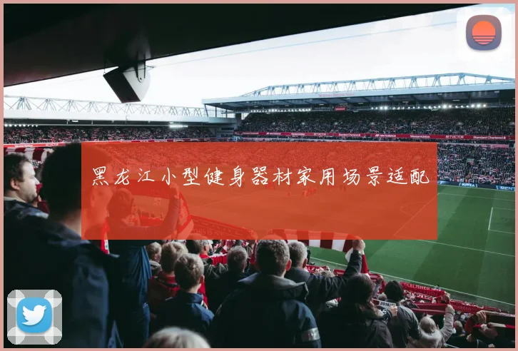 黑龙江小型健身器材家用场景适配