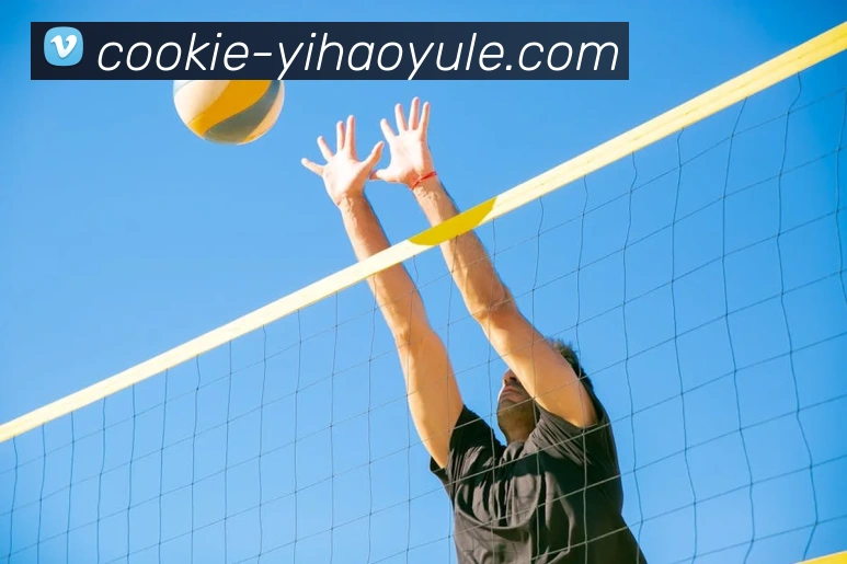 壹号体育品牌故事