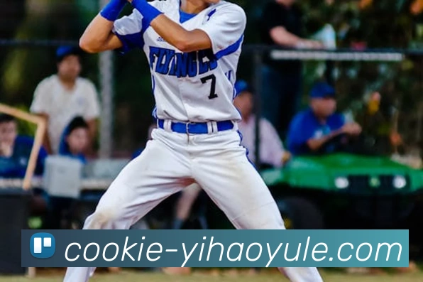 壹号体育服务体系